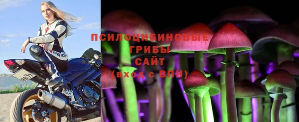 гашиш Богданович