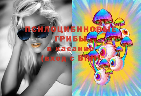 индика Бронницы