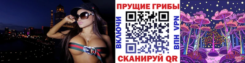 купить наркотики сайты  Видное  Галлюциногенные грибы Cubensis 