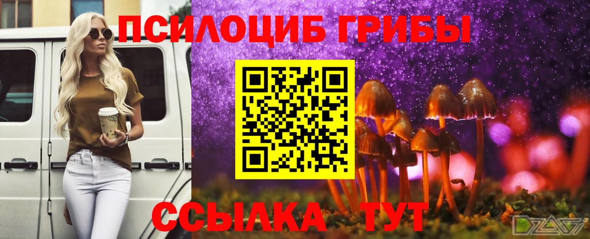 Псилоцибиновые грибы GOLDEN TEACHER Видное