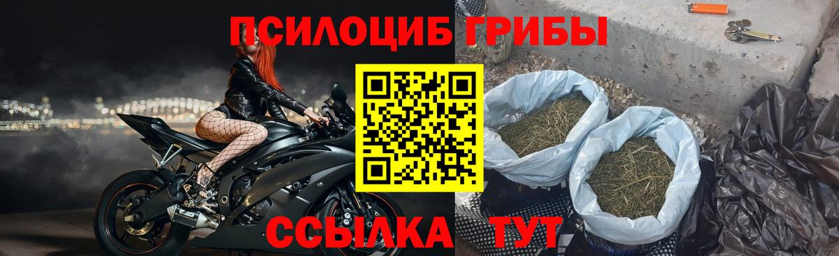 Галлюциногенные грибы ЛСД  Видное 